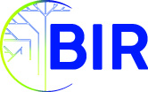 BIR RESEAUX BIR