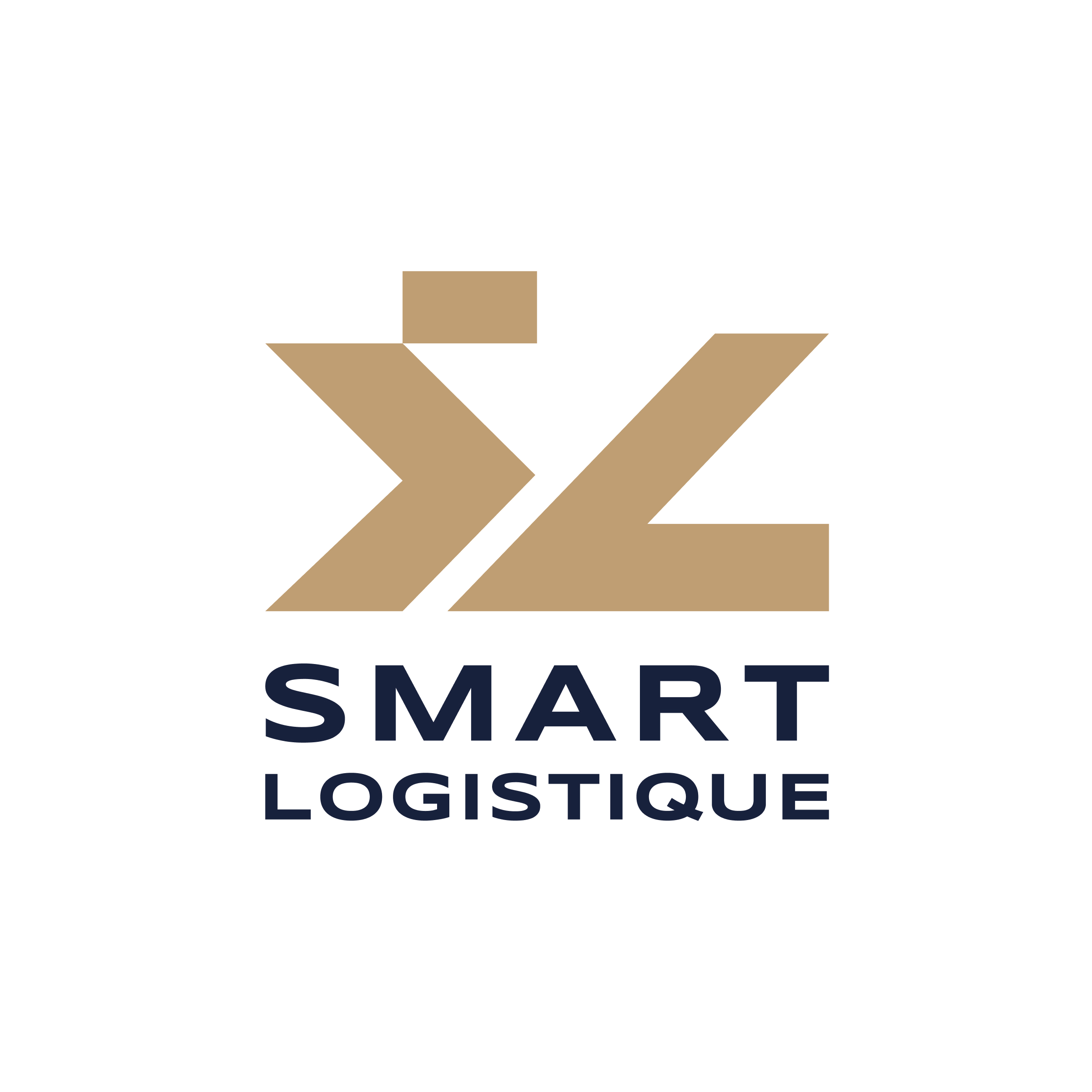smart logistique